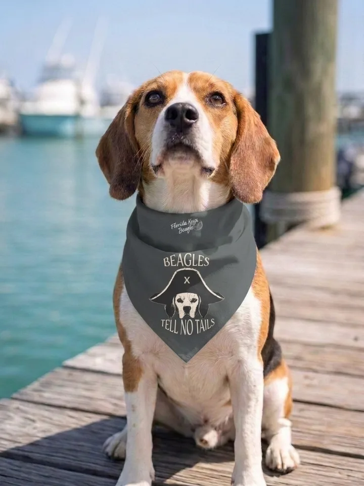 Florida Keys Beagle apparel on AI-generated models with beagles across the Florida Keys 6