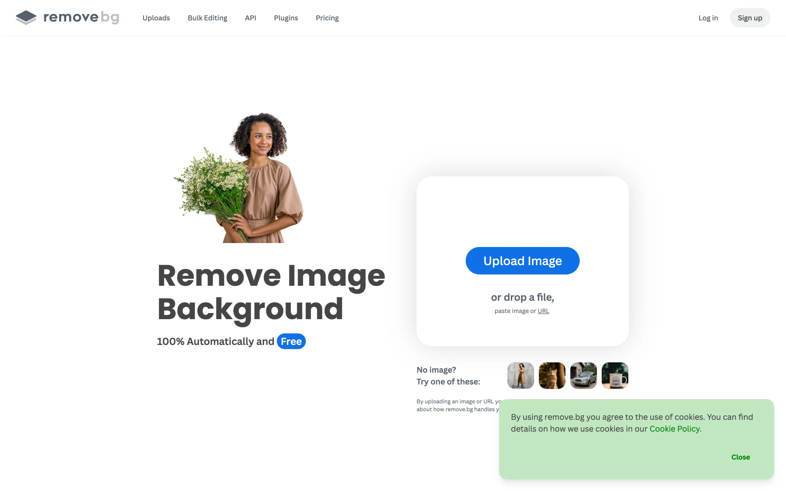 Ai Tools For Editorial Fashion Images with remove.bg